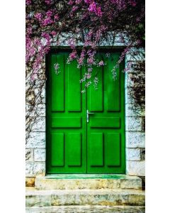 Elegant Green Wood Double Doors - Crafted in Morocco