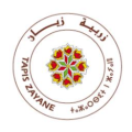Tapis Zayane