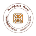 Tapis Marmoucha