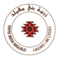 Tapis Beni Mguild