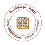 Tapis Marmoucha