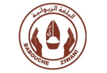 Babouche Ziwani