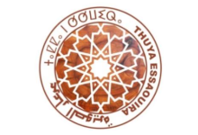 Thuya Essaouira