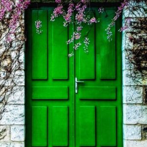 Elegant Green Wood Double Doors - Crafted in Morocco